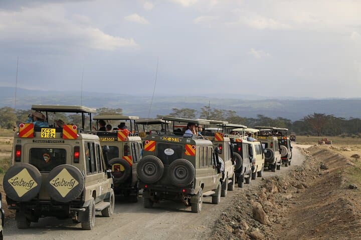 7-Day Kenya Safari: Maasai Mara, Nakuru, Naivasha & Amboseli Wildlife Tour photo 3