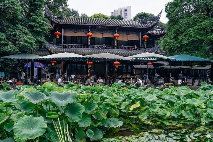 5-Day Natural Panda Paradise Tour in Chengdu — Pandas, Leshan & Emei Shan photo 3