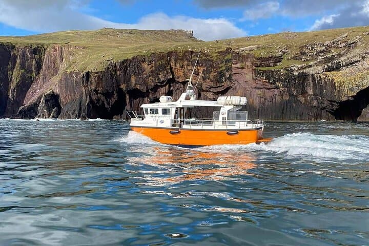 Dingle Bay Cliff Tour: 1-Hour Boat Trip Along Ireland's Wild Coast photo 2