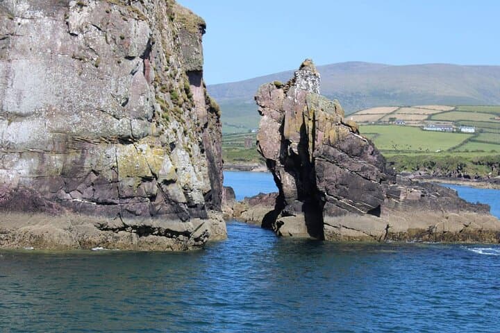 Dingle Bay Cliff Tour: 1-Hour Boat Trip Along Ireland's Wild Coast photo 3