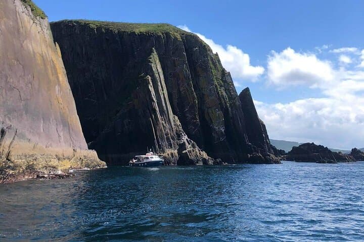 Dingle Bay Cliff Tour: 1-Hour Boat Trip Along Ireland's Wild Coast photo 4