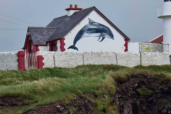 Dingle Bay Cliff Tour: 1-Hour Boat Trip Along Ireland's Wild Coast photo 5