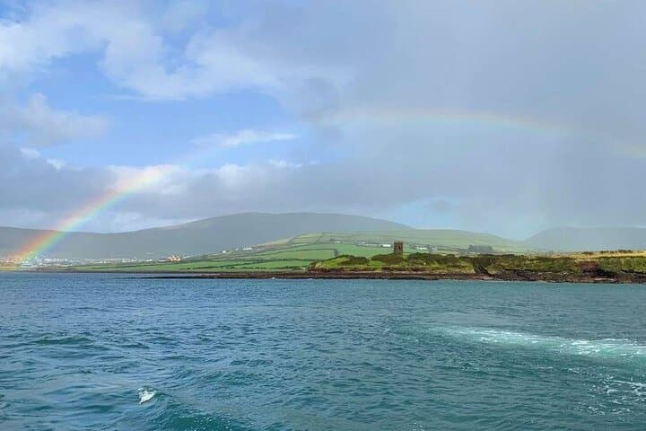 Dingle Bay Cliff Tour: 1-Hour Boat Trip Along Ireland's Wild Coast photo 6