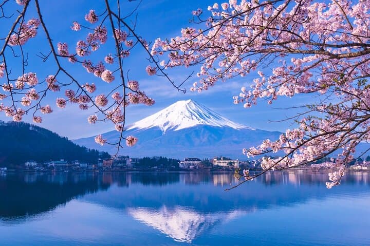 Mt Fuji and Hakone Private Day Tour from Tokyo — 10-Hour Private Car Experience photo 3