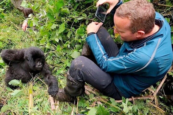 2-Day Private Gorilla Trek Safari in Bwindi (via Kigali) photo 6