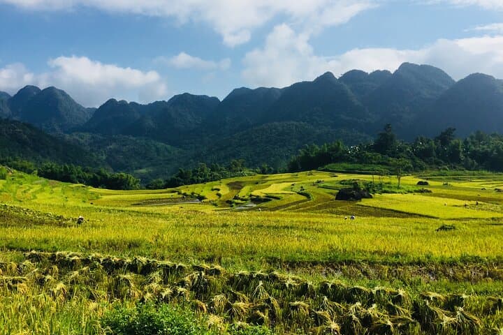 Pu Luong Off‑Road Trekking & Hieu Waterfall — 3 Days from Hanoi photo 5