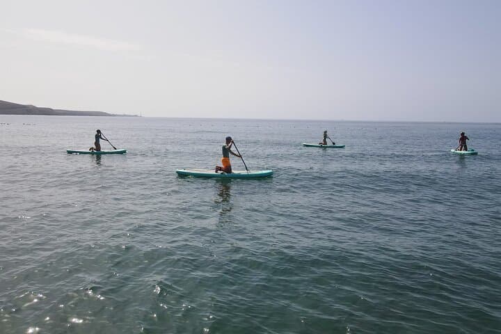 Gran Canaria SUP Lesson: 2-Hour Beginner Stand Up Paddle on the Atlantic photo 2