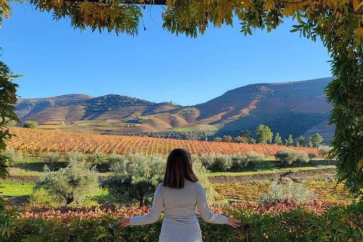 Private Full-Day Douro Valley Tour: Wine Tastings & Riverside Views from Porto photo 1