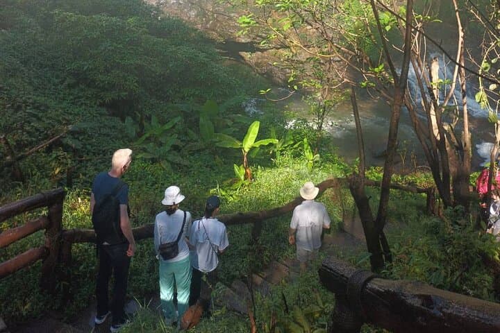 Doi Inthanon Private Day Tour & Pha Dok Siew Trek from Chiang Mai photo 4