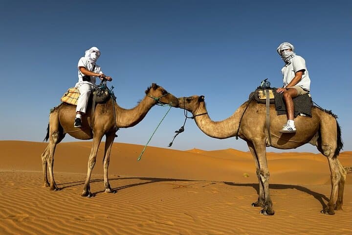 2-Day Luxury Sahara Desert Tour from Fes: Camel Rides & Luxury Camp