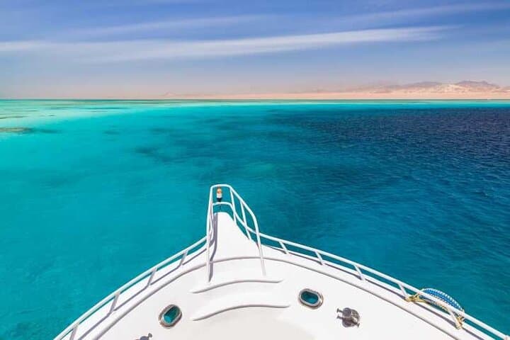 Sataya Reef Dolphin Snorkel Day Trip from Marsa Alam photo 4