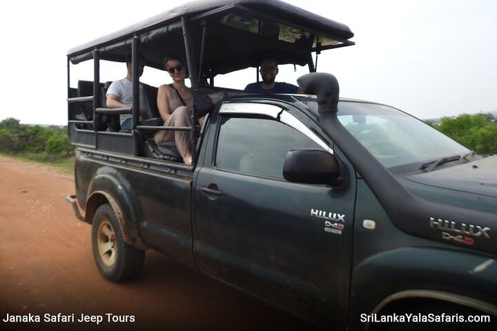 Yala National Park Safari from Hambantota Port — Leopard-Focused Day Tour photo 2