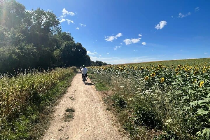 Paris Electric Bike Rental — Day Trips to Versailles & Normandy photo 3
