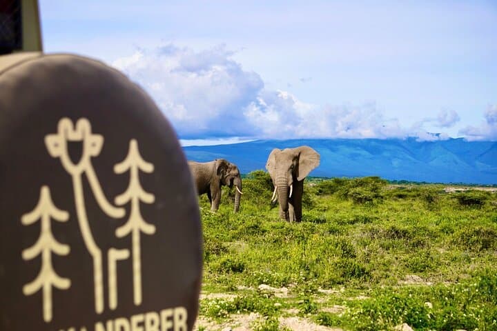 5-Day Mid-Range Tanzania Safari: Tarangire, Ngorongoro & Lake Manyara photo 1