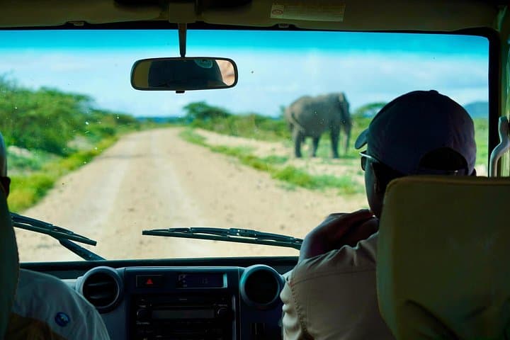 5-Day Mid-Range Tanzania Safari: Tarangire, Ngorongoro & Lake Manyara photo 3