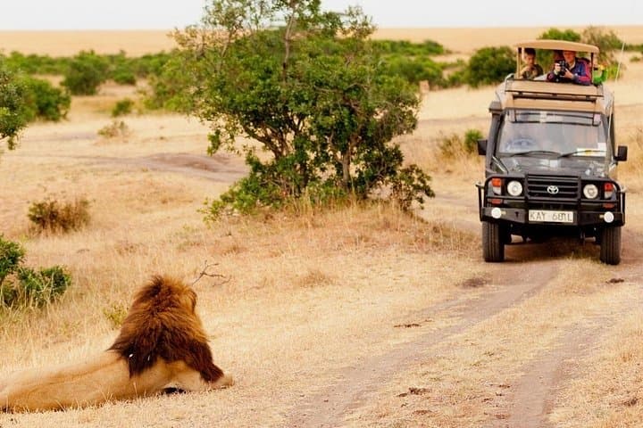 5-Day Mid-Range Tanzania Safari: Tarangire, Ngorongoro & Lake Manyara photo 4
