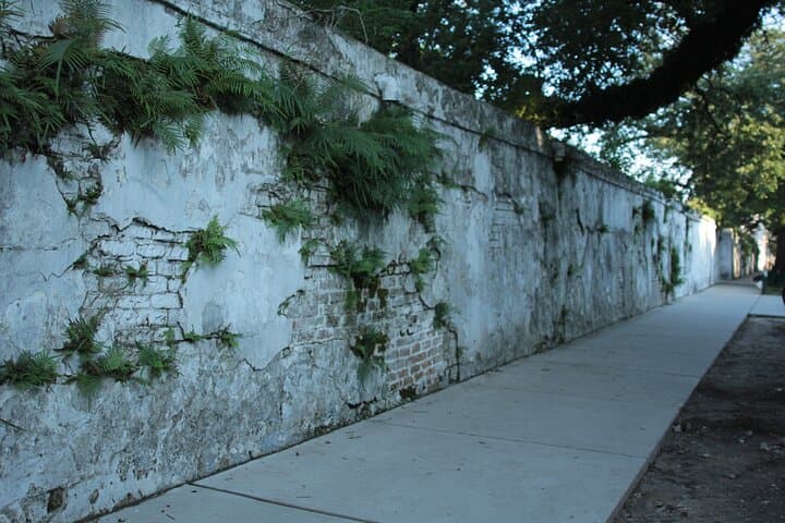 Garden District Walking Tour: Lafayette Cemetery, Mansions & Irish Channel Stories photo 5
