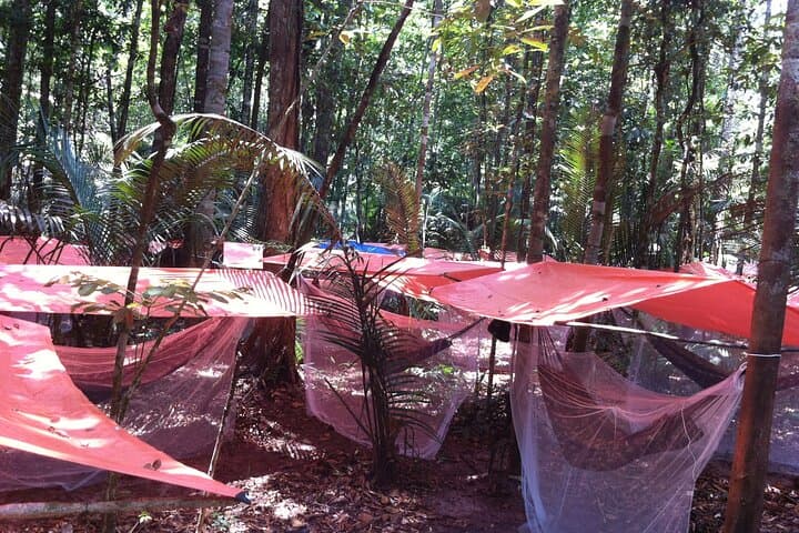 Overnight Jungle Survival: Dinner and Camping Near Manaus