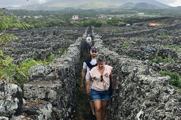 Pico Girl Power: Volcano Wine Tasting & Natural Pools in the Azores