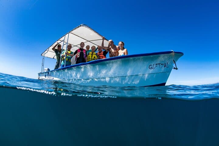 Whale Shark Snorkeling in La Paz — Small-Group Tour with a Marine Biologist photo 4