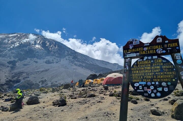 Lemosho Route Kilimanjaro: 7-Day Summit Guide to Uhuru Peak photo 6