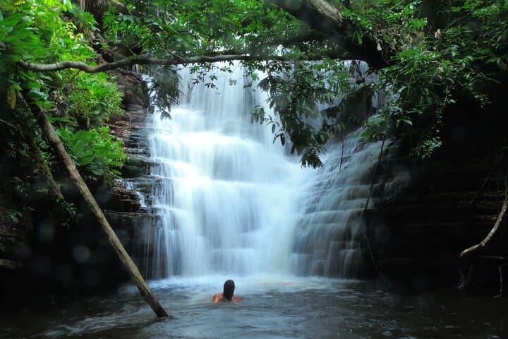 6-Day Guided Kayak Expedition on the Urubu River, Amazon photo 3