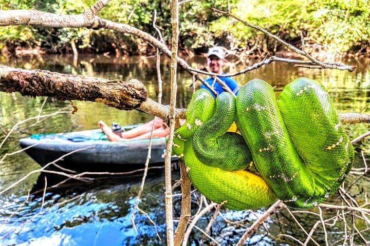 6-Day Guided Kayak Expedition on the Urubu River, Amazon photo 4