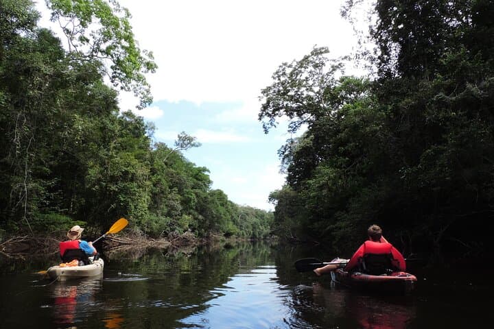 6-Day Guided Kayak Expedition on the Urubu River, Amazon photo 5