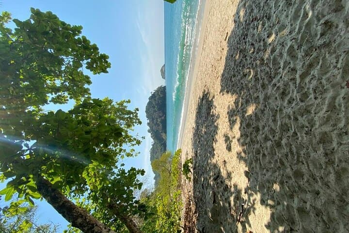 Manuel Antonio Full-Day Tour: National Park Hike, Beaches & Lunch photo 6