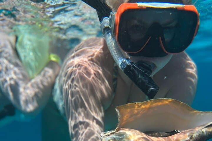 Half-Day Roatan Nature Park Snorkeling & West Bay Beach Experience photo 2