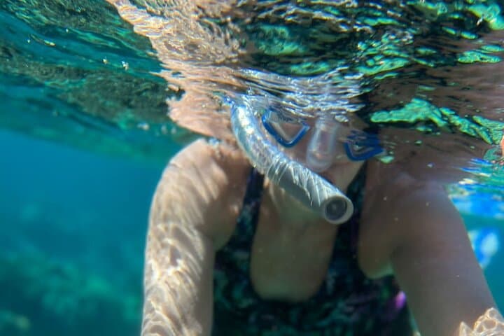 Half-Day Roatan Nature Park Snorkeling & West Bay Beach Experience photo 3