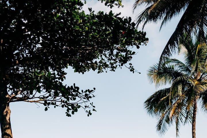 Luquillo Rainforest Waterslide & River Pool Adventure — Beach Day in Puerto Rico photo 3