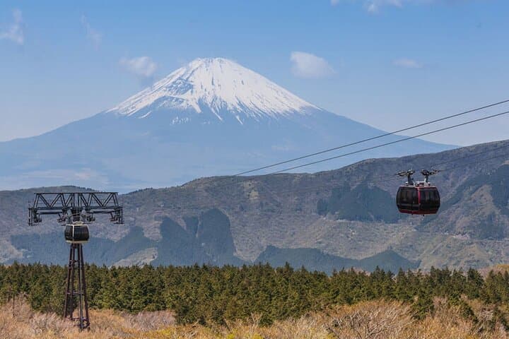 Private Hakone Luxury Van Tour: Customize a 10‑Hour Lake Ashi, Ōwakudani & Ropeway Day Trip photo 3