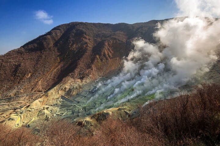 Private Hakone Luxury Van Tour: Customize a 10‑Hour Lake Ashi, Ōwakudani & Ropeway Day Trip photo 4