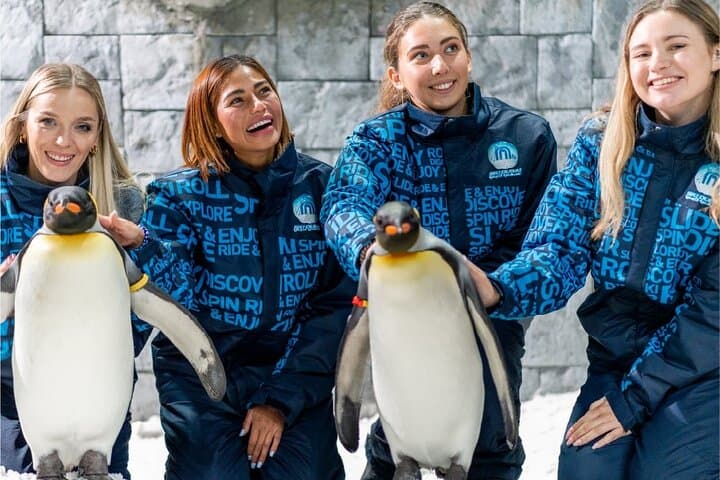 Ski Dubai Snow Park: Indoor Skiing & Penguin Encounters in Dubai