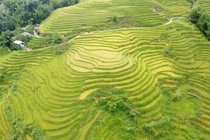 Sapa 3-Day Trek: Muong Hoa Valleys, H'Mong Villages & Homestay Experience photo 6