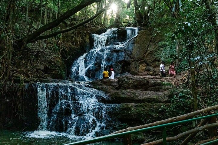 Karura Forest Day Hike & Biking Trail — Nairobi Urban Nature Adventure