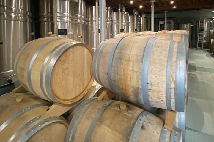 Champagne Cellars & Dom Perignon Vineyards Day Tour from Reims photo 3