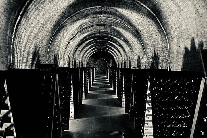 Champagne Cellars & Dom Perignon Vineyards Day Tour from Reims photo 2