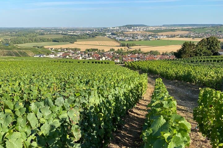 Champagne Cellars & Dom Perignon Vineyards Day Tour from Reims photo 6