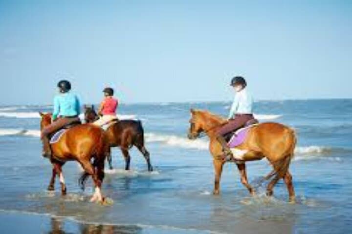 Swim with Horses in Hurghada: Red Sea Horseback Ride & Beach Gallop photo 6