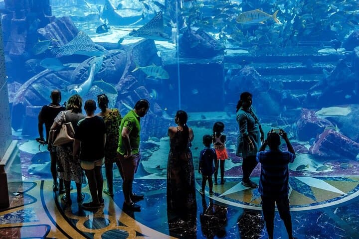 Dubai Lost Chambers Aquarium: Atlantis-Themed Marine Walkthrough & Touch Tank photo 2
