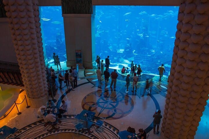 Explore Lost Chambers Aquarium at Atlantis Dubai — Ambassador Lagoon Experience photo 2
