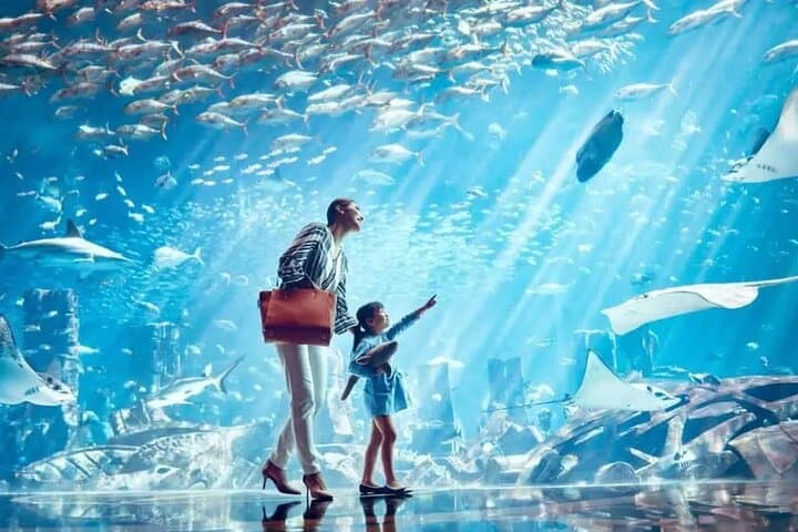 Dubai Lost Chambers Aquarium: Atlantis-Themed Marine Walkthrough & Touch Tank photo 4