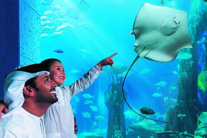 Dubai Lost Chambers Aquarium: Atlantis-Themed Marine Walkthrough & Touch Tank photo 5