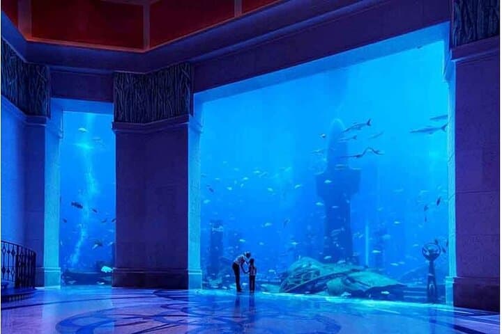 Dubai Lost Chambers Aquarium: Atlantis-Themed Marine Walkthrough & Touch Tank photo 6
