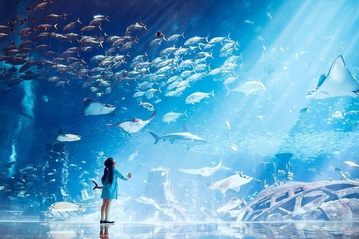Dubai Lost Chambers Aquarium: Atlantis-Themed Marine Walkthrough & Touch Tank