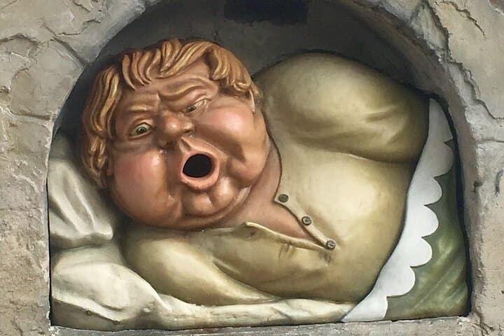 Private Day Trip to Efteling from Amsterdam — Skip-the-Line Theme Park Experience photo 3
