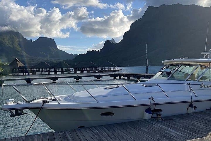 Ariinui Private Full-Day Yacht Whale Watching from Marina Taina, Tahiti photo 1