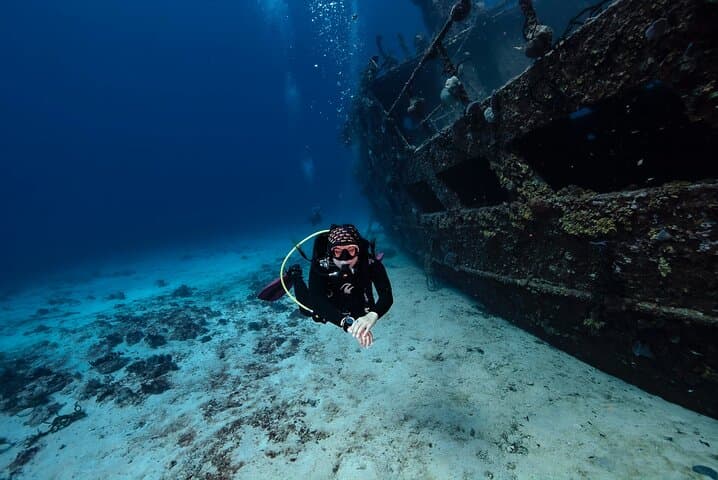 Playa del Carmen Small-Group Scuba: Two Dives on Caribbean Reefs photo 5